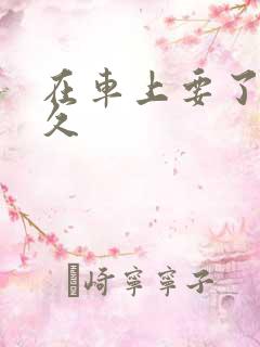 在车上要了我很久