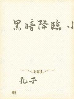 黑暗降临 小说