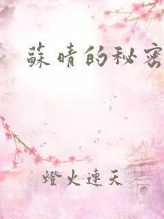 苏晴的秘密小说