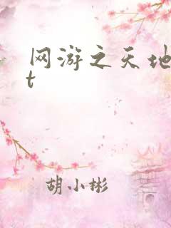 网游之天地txt