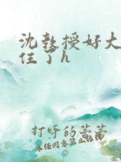 沈教授好大含不住了h
