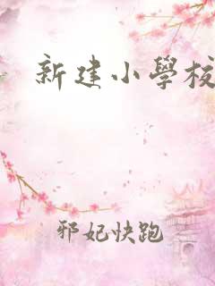 新建小学校长