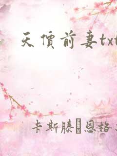 天价前妻txt