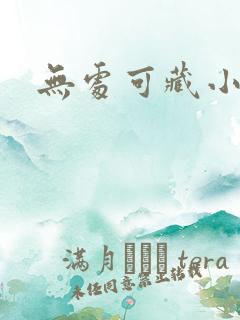 无处可藏小说