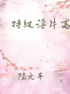 特级淫片高清