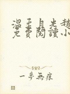 温柔月光赵大宝免费阅读小说