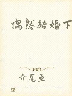 偶然结婚下载