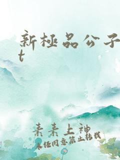 新极品公子txt