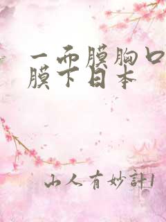 一面膜胸口一面膜下日本