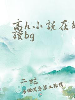 高h小说在线阅读bg