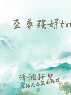 至尊强婿txt