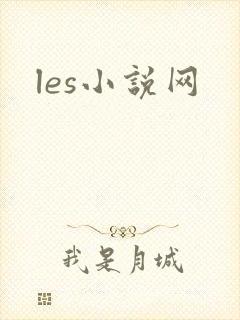 les小说网