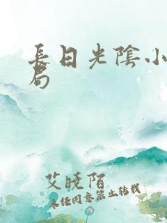 长日光阴小说结局