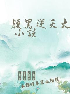 腹黑逆天大小姐 小说