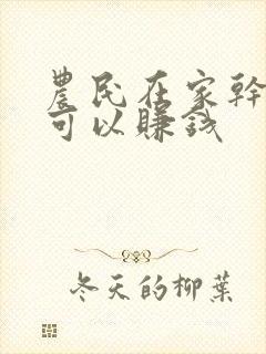农民在家干什么可以赚钱