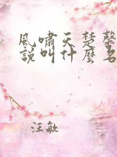 风啸天楚馨月小说叫什么名字