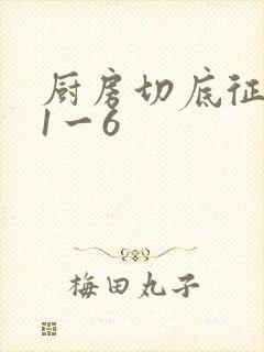 厨房切底征服岳1一6