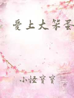 爱上大笨蛋