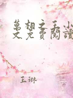 万相之王小说全文免费阅读无弹窗