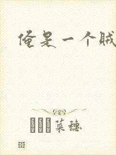 俺是一个贼