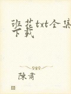 班花txt全集下载