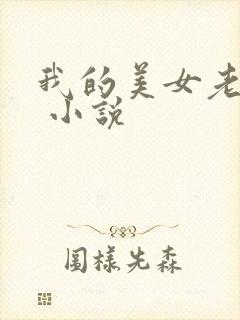 我的美女老婆们 小说