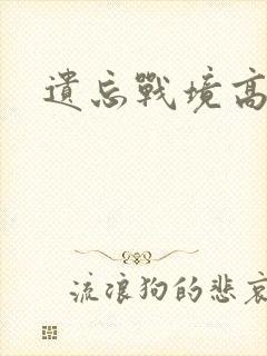 遗忘战境高清