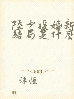 陆少暖婚新妻大结局是什么