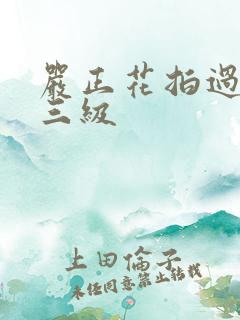 严正花拍过什么三级