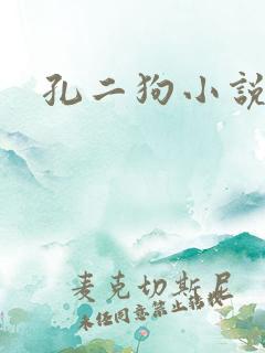 孔二狗小说