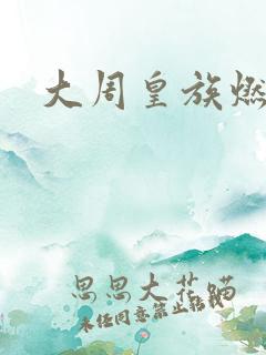 大周皇族燃文
