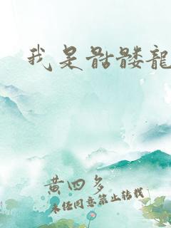 我是骷髅龙骑兵