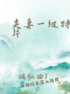 夫妻一级特黄大片