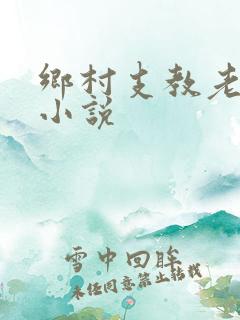 乡村支教老师的小说
