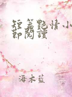 短篇艳情小说分节阅读