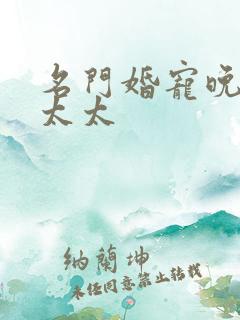 名门婚宠晚安赫太太