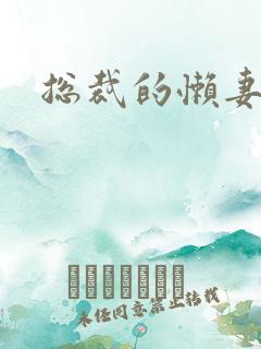 总裁的懒妻