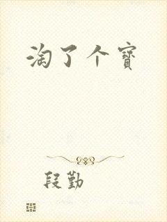 淘了个宝
