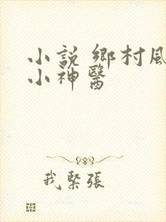 小说 乡村风流小神医