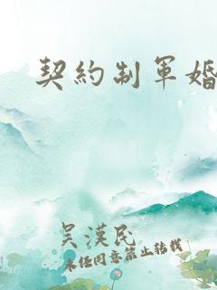 契约制军婚