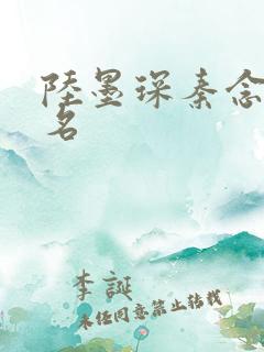陆墨琛秦念小说名