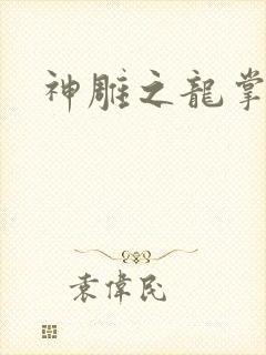神雕之龙掌门