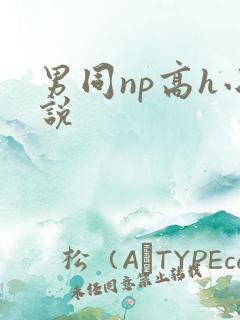 男同np高h小说