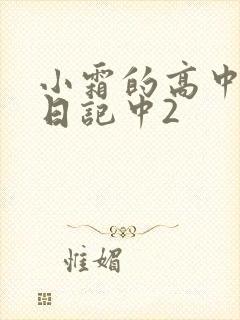 小霜的高中成长日记中2