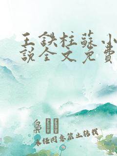 王铁柱苏小汐小说全文免费阅读最新章节