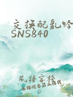 交换配乱吟粗大SNS840