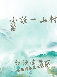 小说一山村小神医