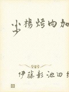 小杨烤肉加盟多少