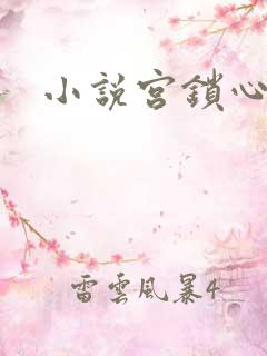小说宫锁心玉