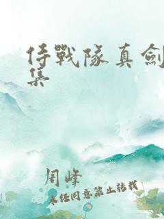 侍战队真剑者全集